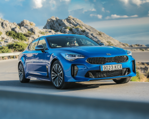 Kia Stinger blue dynamic  (11)